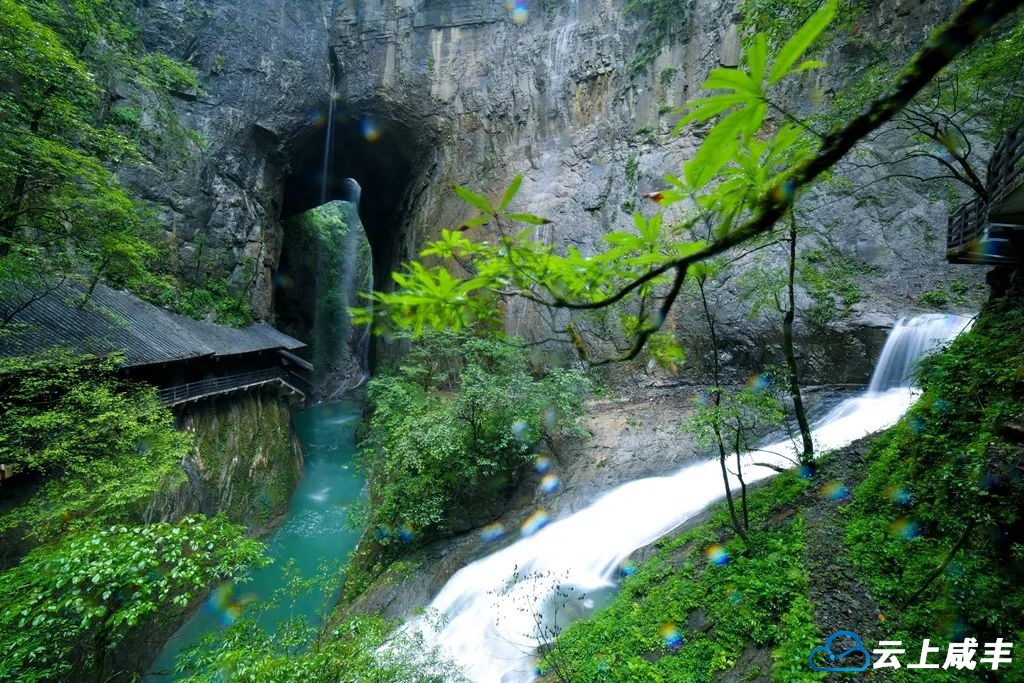 逃离酷暑 畅享清凉——环渝避暑旅居目的地推介活动启幕