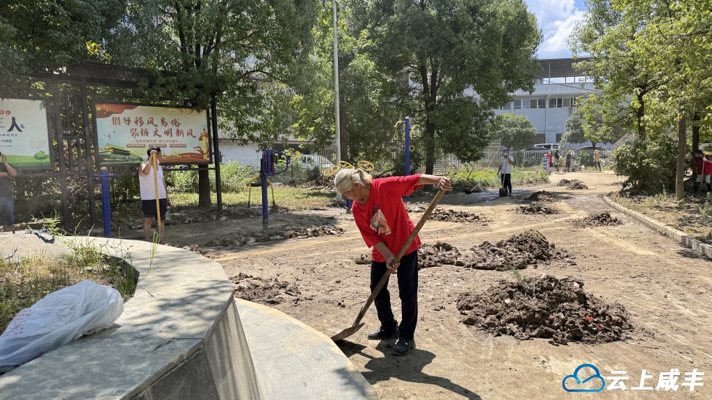 灾后重建“她”力量