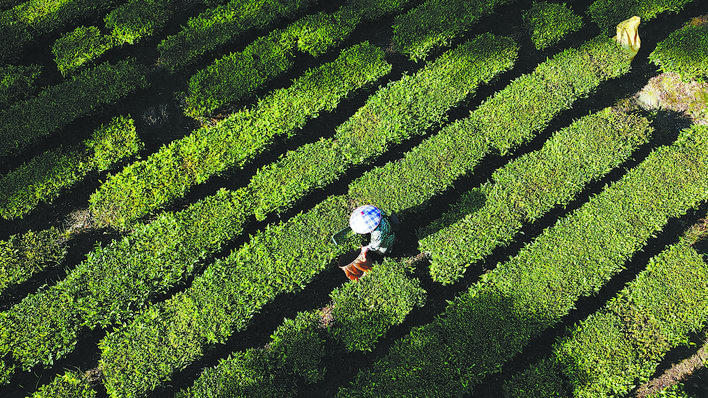 【恩施日报】图片新闻