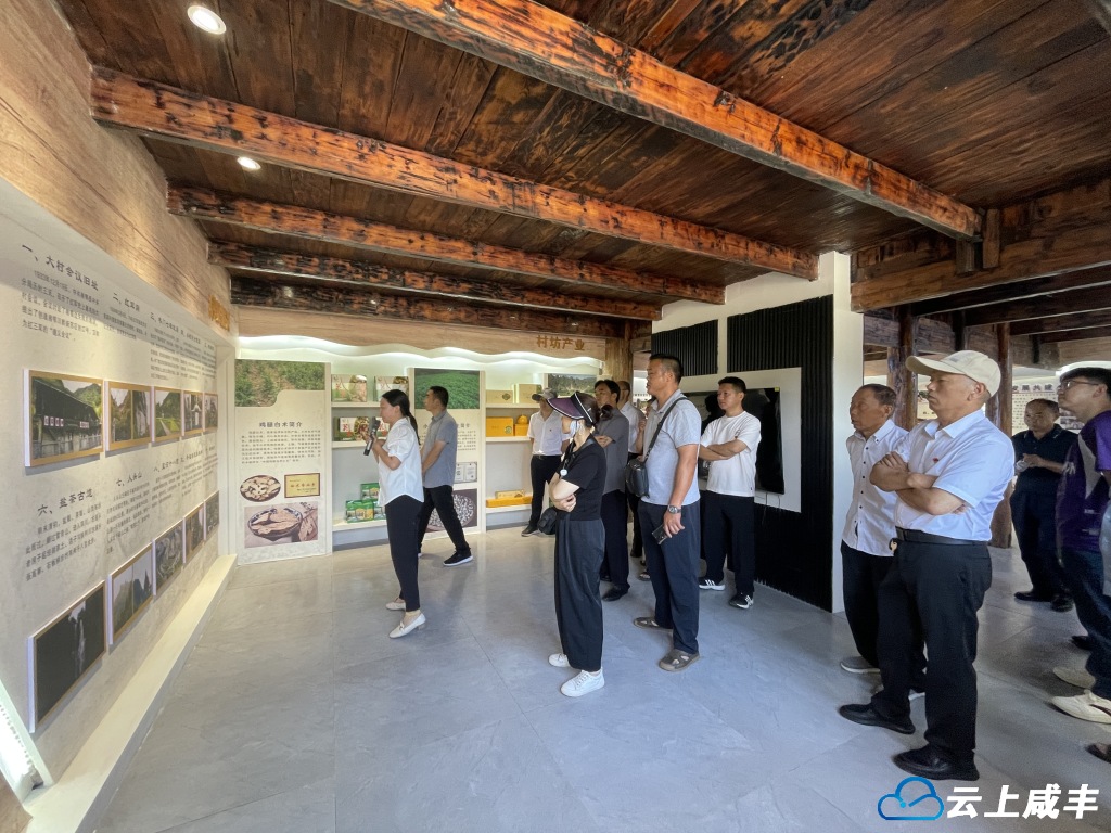 咸丰多部门联合开展“缅怀革命先烈 传承红色基因”主题教育活动