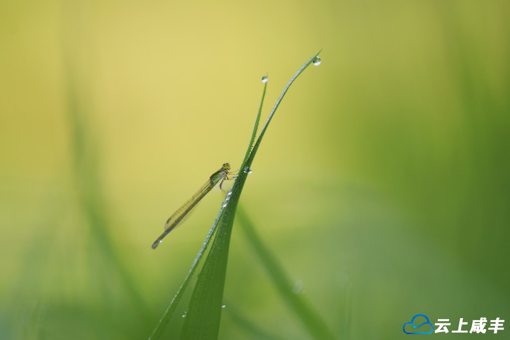 LWJ_1019_副本.jpg LWJ_1019_副本.jpg