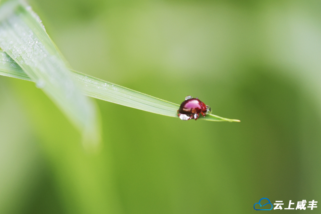 LWJ_1065_副本.jpg LWJ_1065_副本.jpg