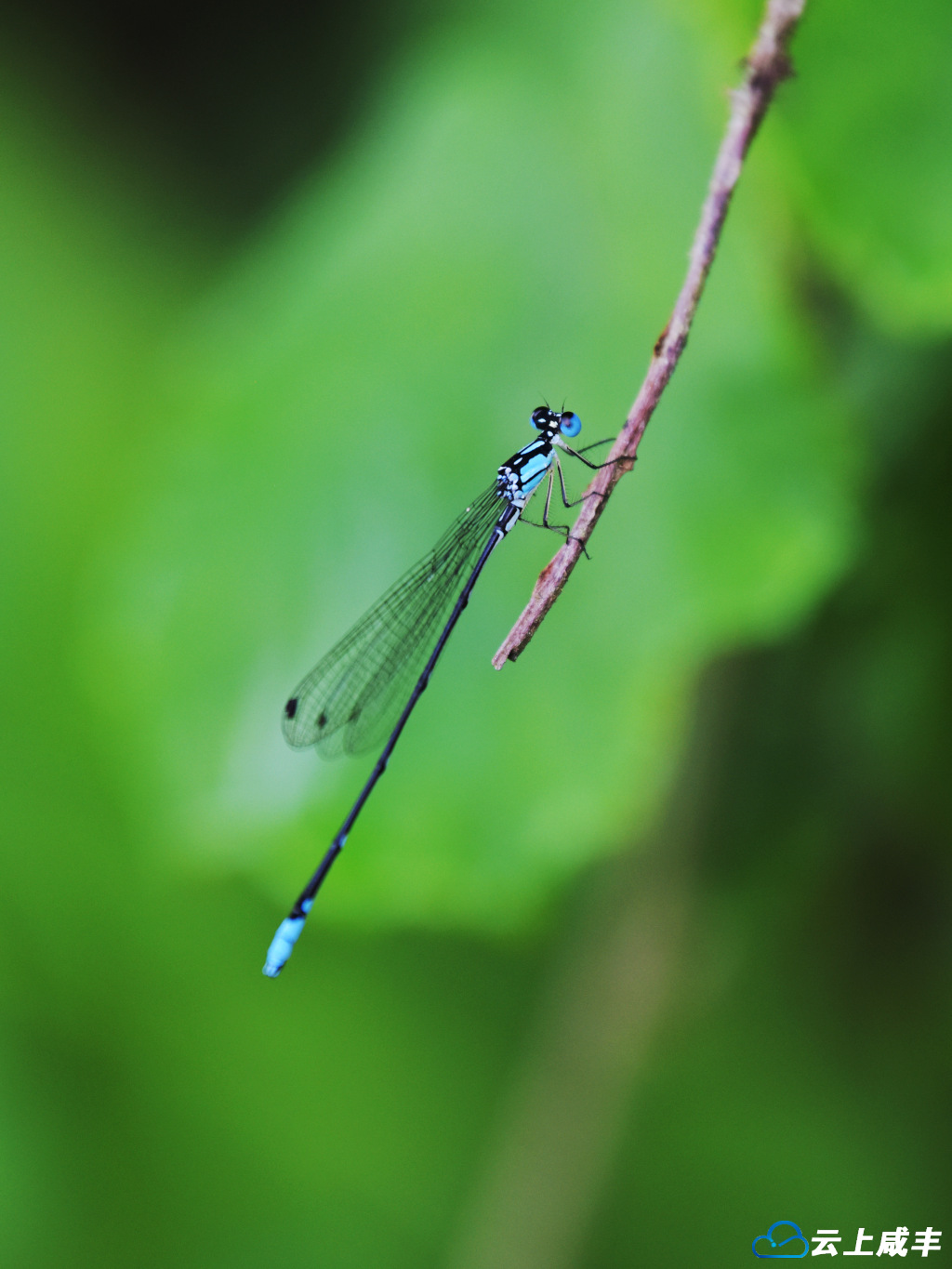 LWJ_0922_副本.jpg LWJ_0922_副本.jpg