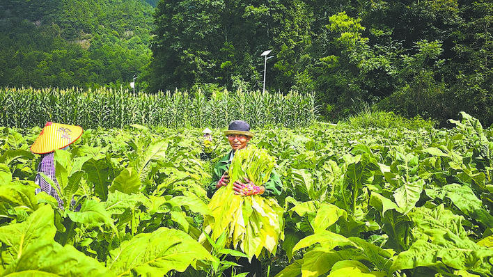 【恩施日报】图片新闻