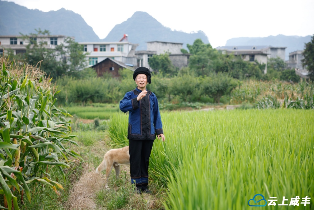 _79A0660.jpg _79A0660.jpg