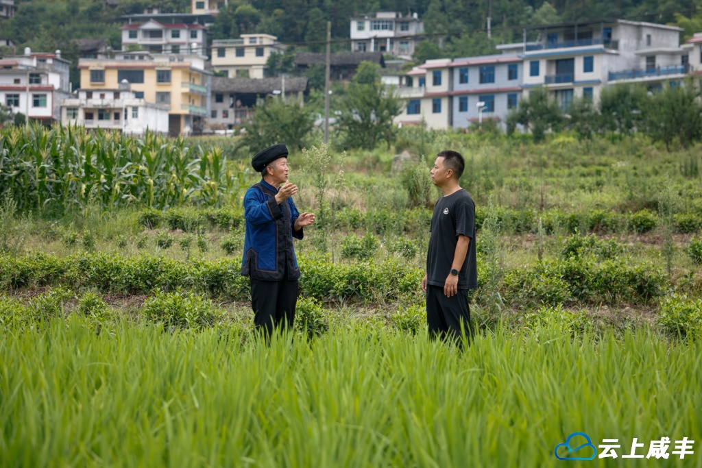 _79A0670.jpg _79A0670.jpg