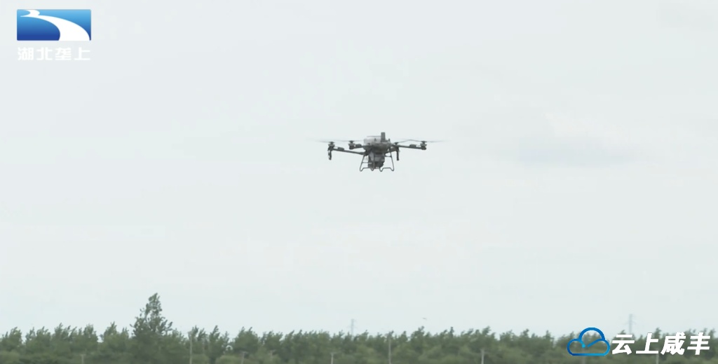 【湖北电视台】湖北垄上｜乡村振兴看湖北：科技助力 无人机成农户“好帮手”