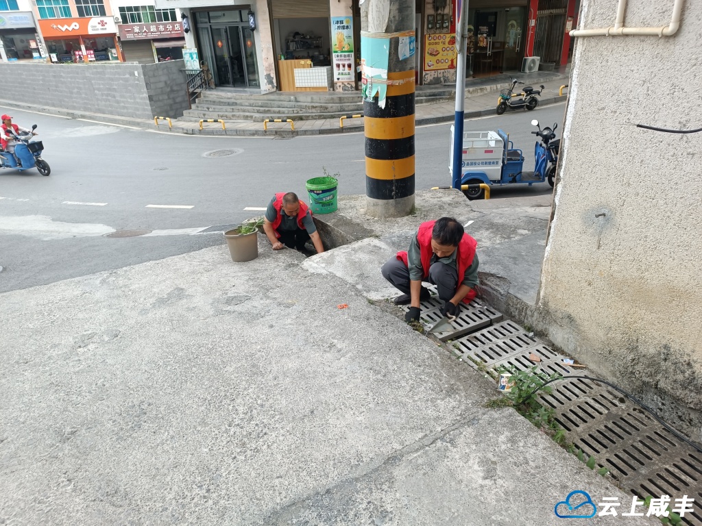 活龙坪乡开展爱国卫生月环境整治行动