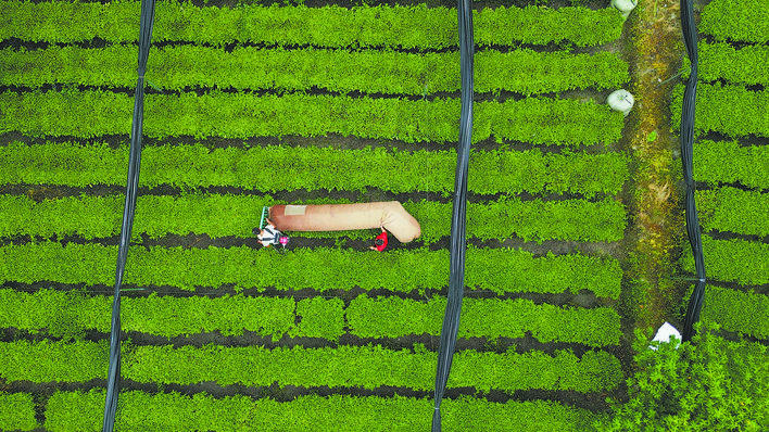 【恩施日报】图片新闻