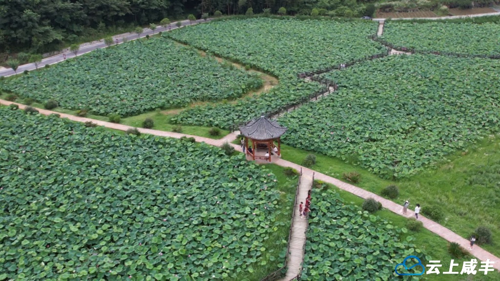 8月7日 (1)(12).jpg 8月7日 (1)(12).jpg