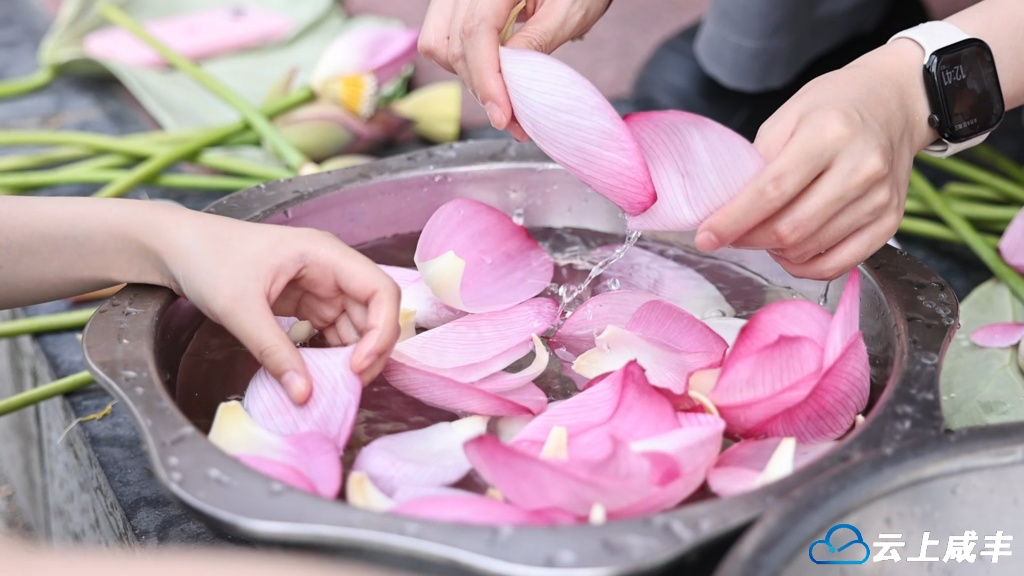 8月7日 (1)(6).jpg 8月7日 (1)(6).jpg