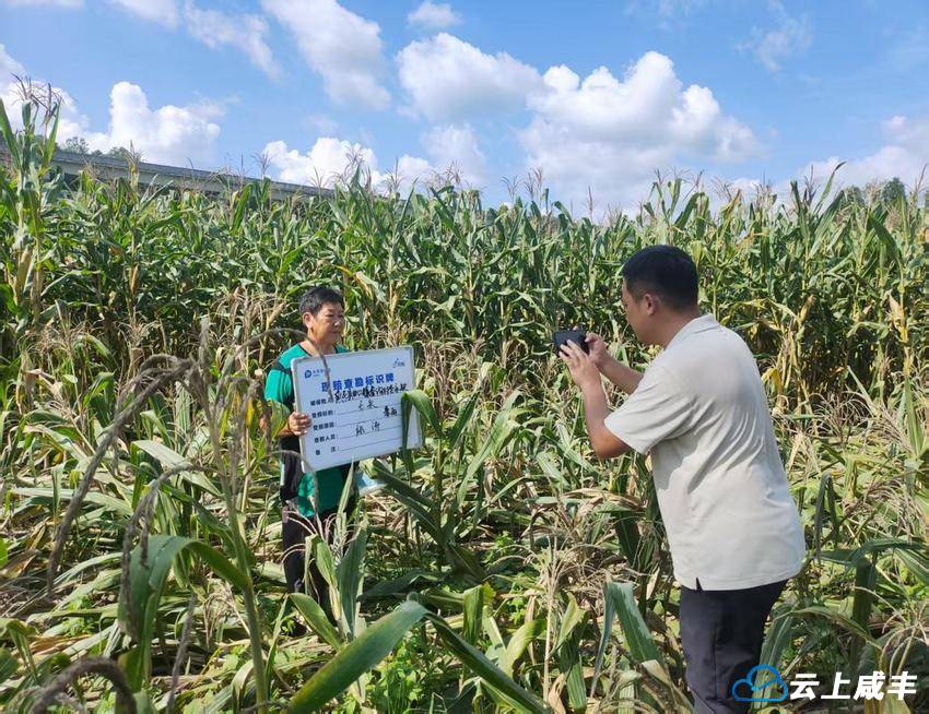 政企协作加速灾后理赔