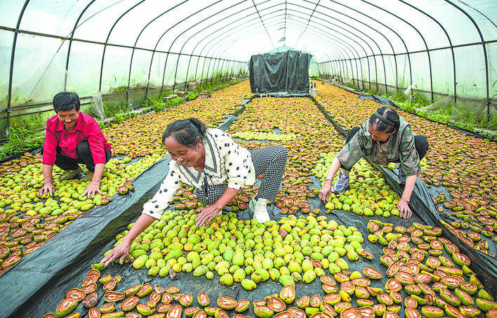 【恩施日报】图片新闻