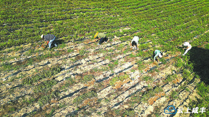 【恩施日报】图片新闻