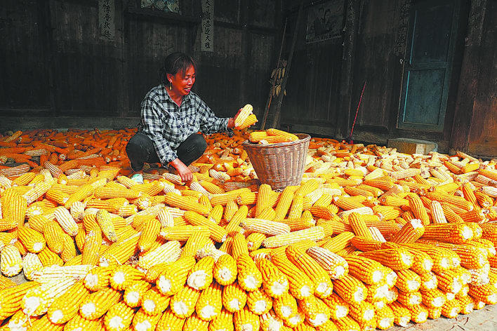 【恩施日报】图片新闻
