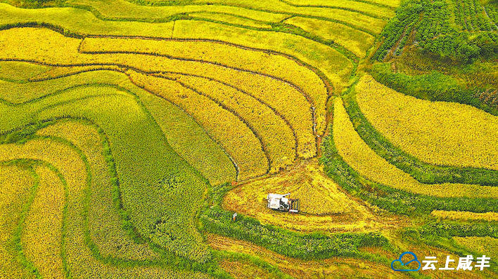 【恩施日报】图片新闻