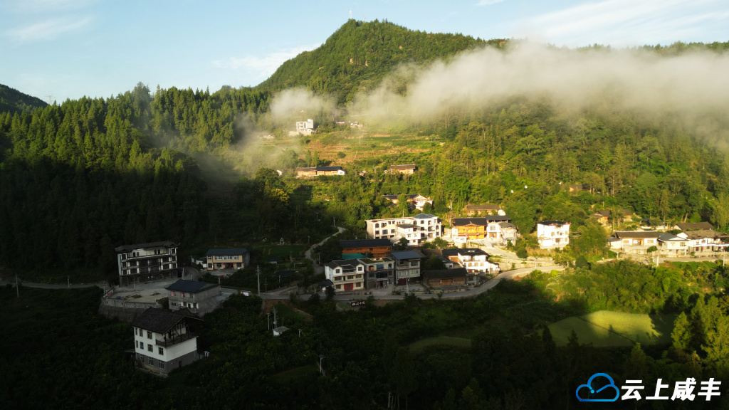 DJI_0300_副本.jpg DJI_0300_副本.jpg