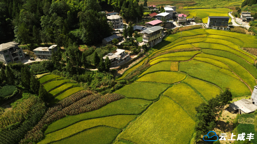 大铧尖村：高山田园“丰”景美