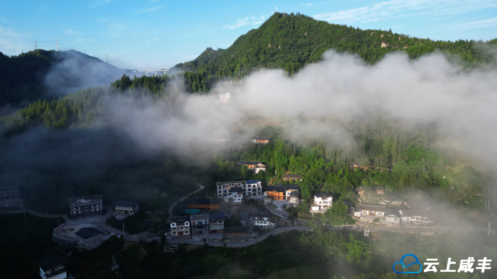 DJI_0289_副本.jpg DJI_0289_副本.jpg