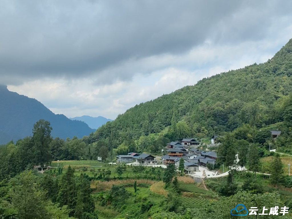 三层岩古树公园建成开放 8株古树获专属保护