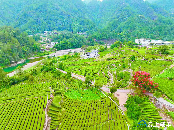 【恩施日报】图片新闻