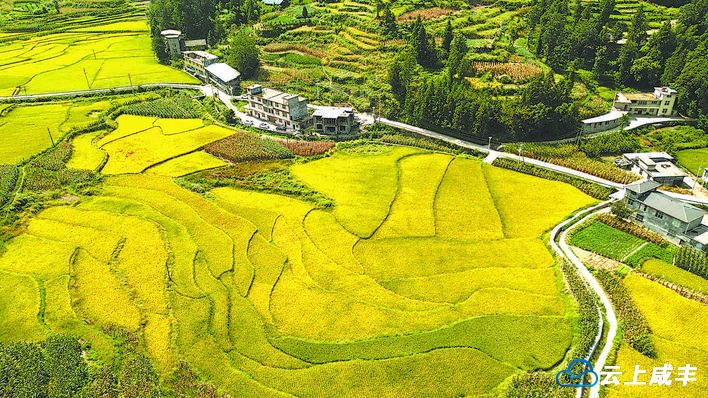 【恩施日报】咸丰县大铧尖村田园丰景美