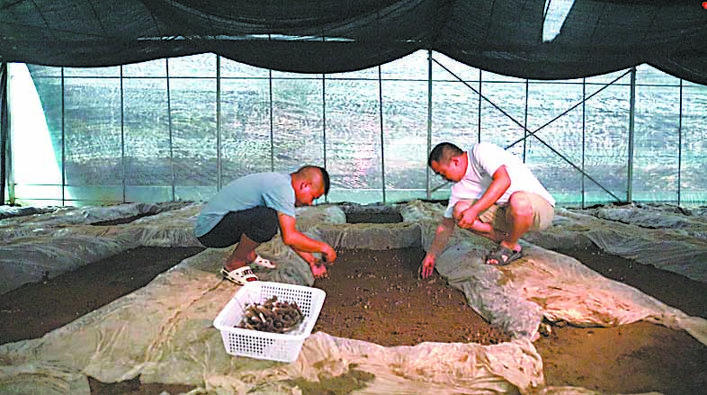 【恩施日报】图片新闻