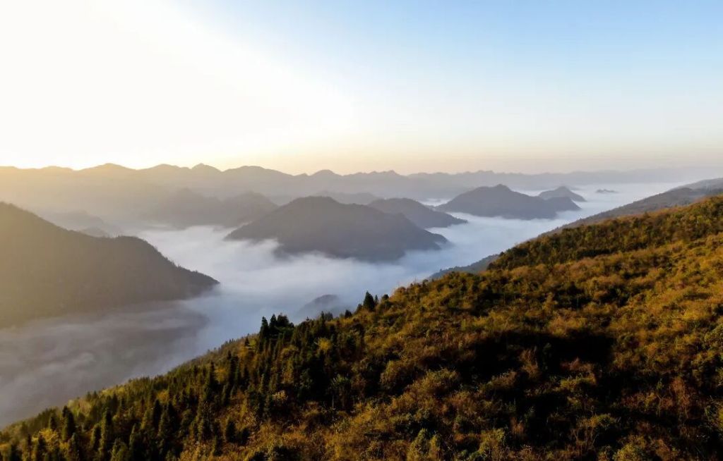【学习强国】【每日一景】湖北咸丰：秋入坪坝营，童话书页里的五彩秘境