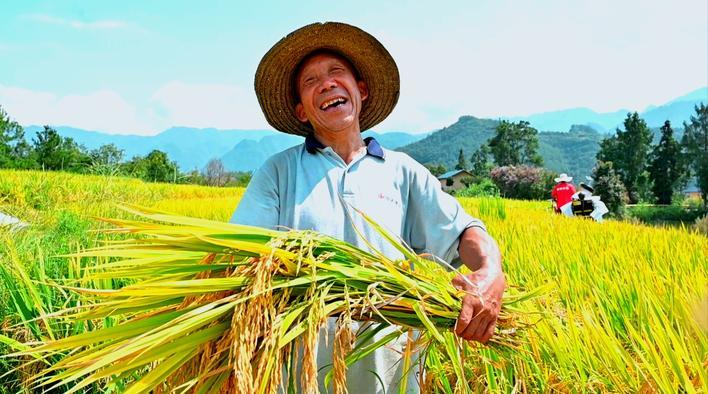 【恩施日报】岁稔年丰