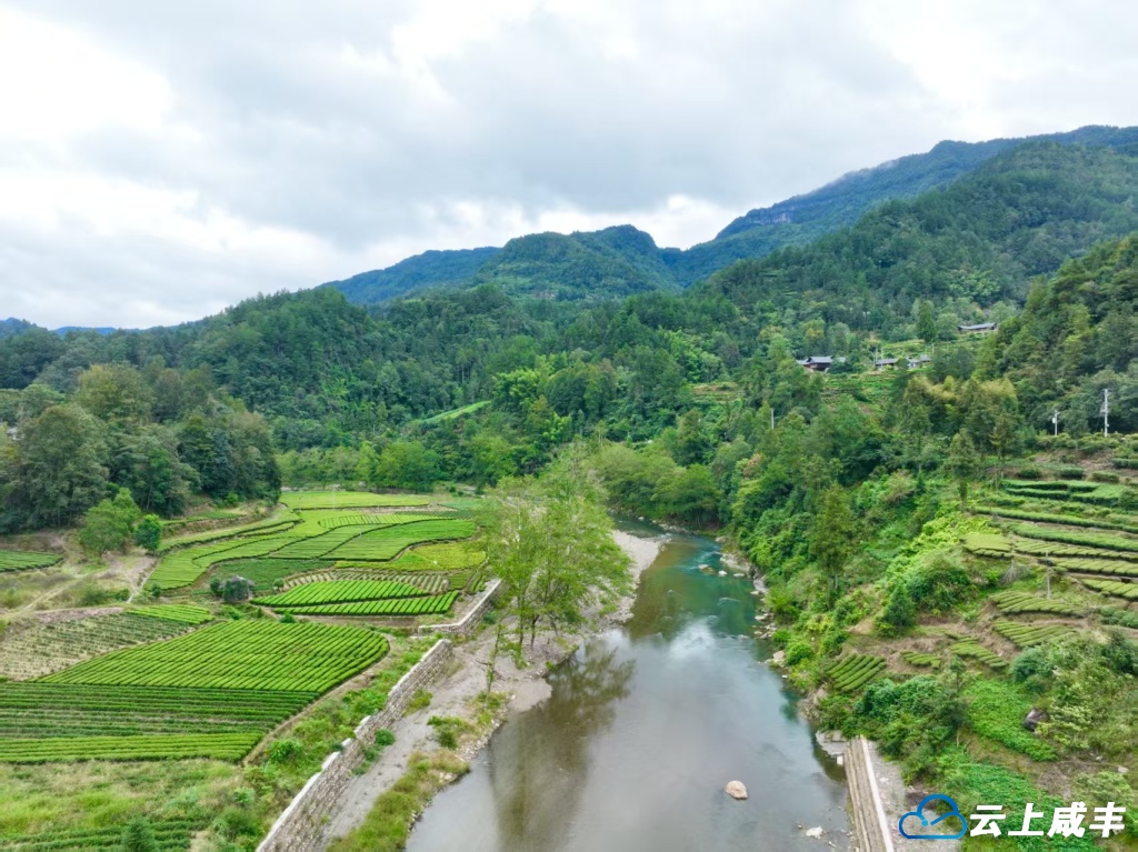 微信图片_20250927173104_106_26.jpg 微信图片_20250927173104_106_26.jpg