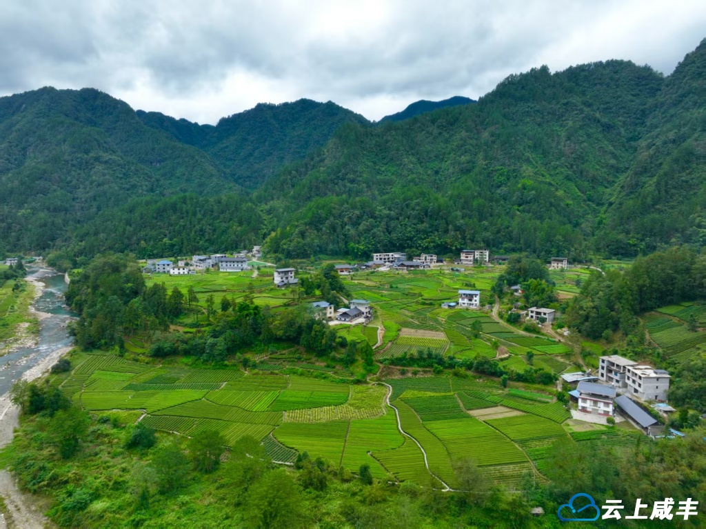 森林城镇绘就幸福河湖新画卷