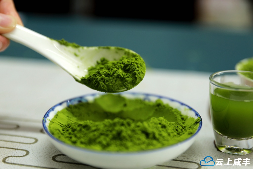 开启“由叶变粉”新篇章！咸丰县首条抹茶生产线正式投产