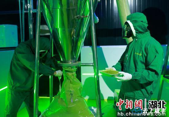 【中新网】客户端｜湖北咸丰：精深加工助力打造抹茶产业链