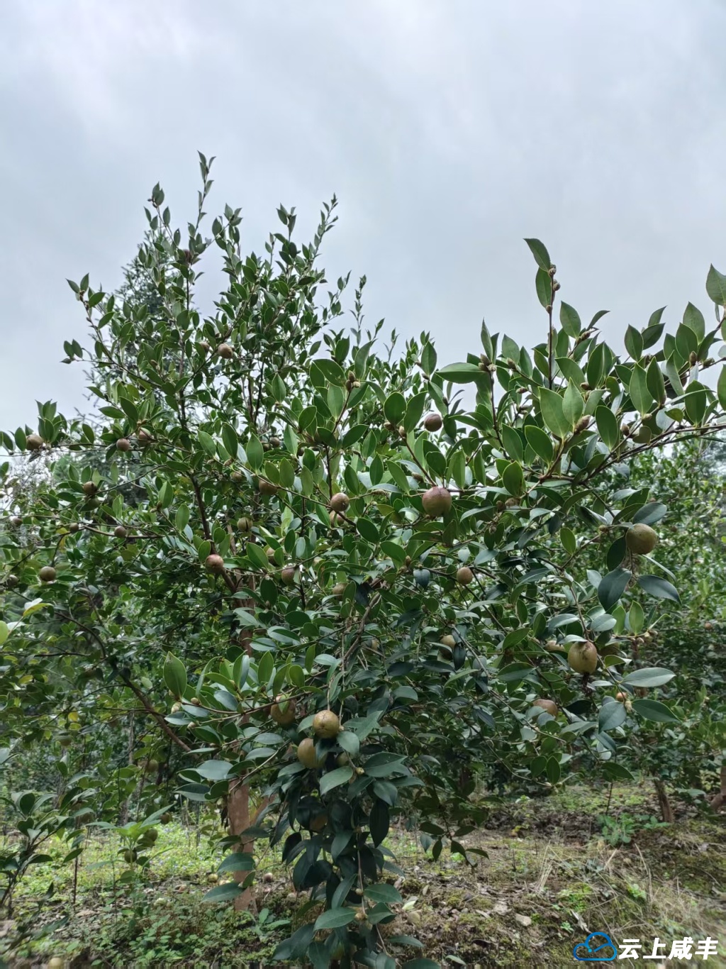 微信图片_20251009084859_133_26.jpg 微信图片_20251009084859_133_26.jpg