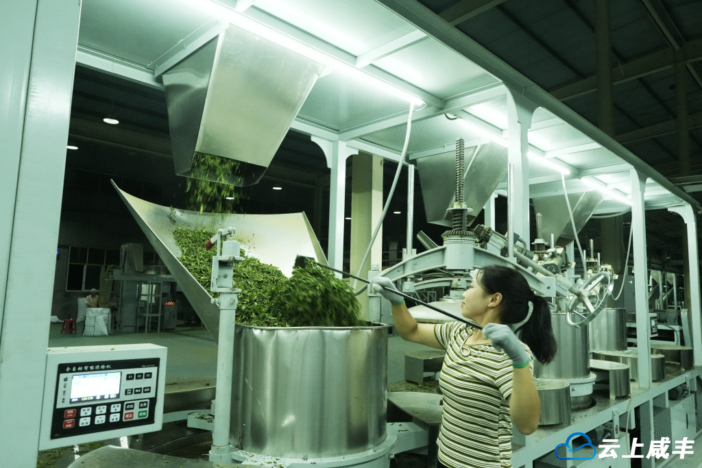 一批硒企，引领咸丰产业发展进入快车道