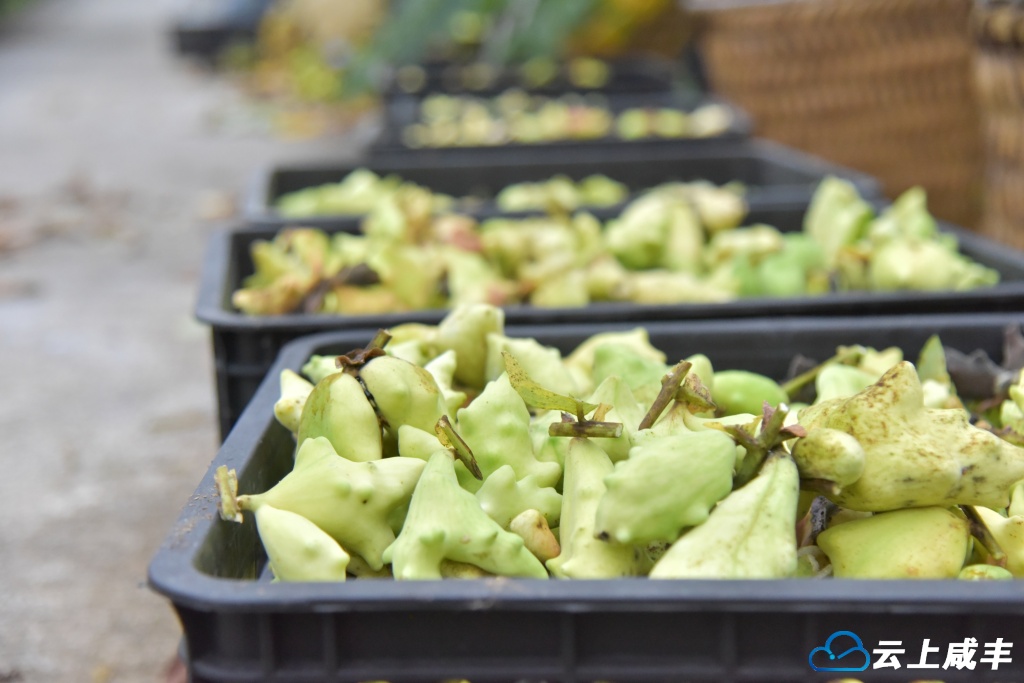 微信图片_20251009095757_22_298.jpg 微信图片_20251009095757_22_298.jpg