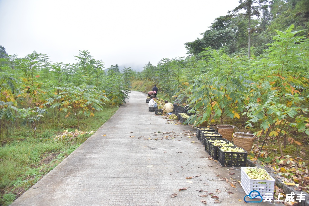 微信图片_20251009095801_23_298.jpg 微信图片_20251009095801_23_298.jpg