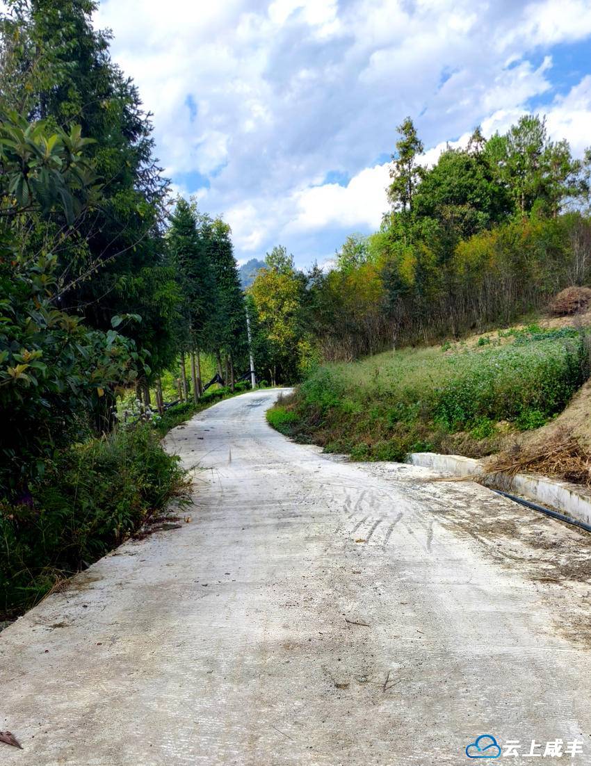 小村乡白果村一产业路完工