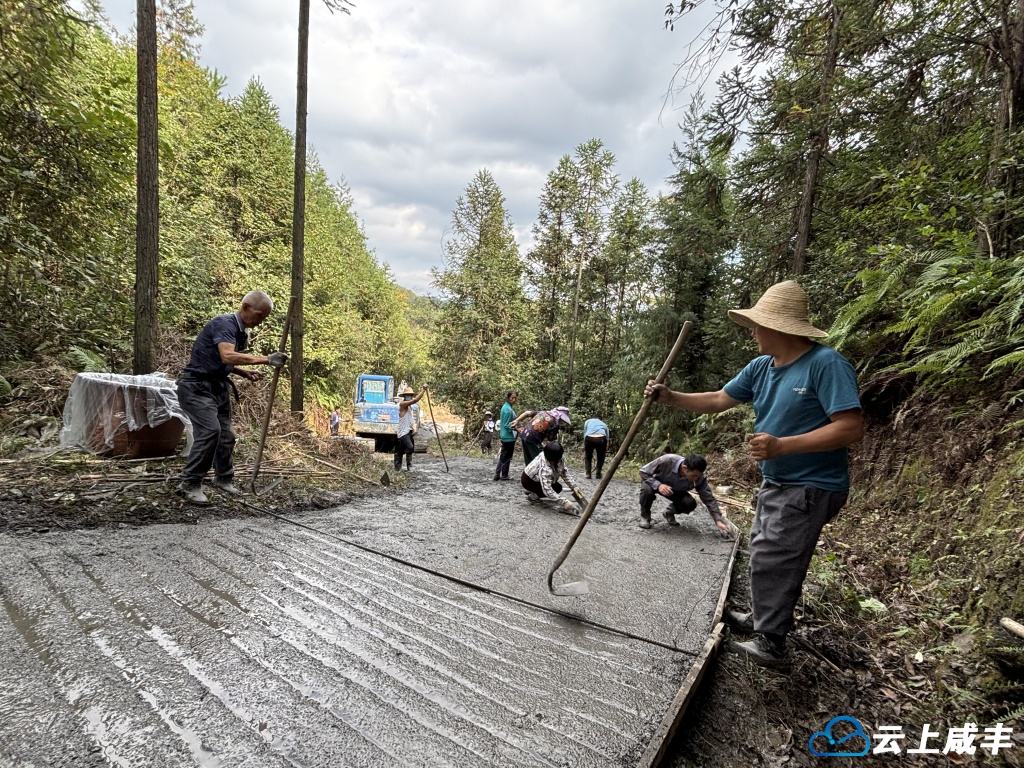 尧坪村村民自筹资金修路通茶园