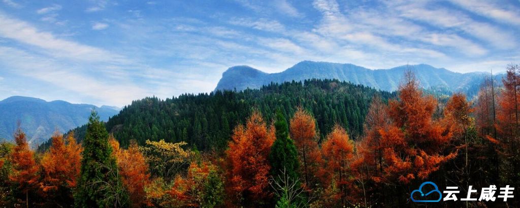 北纬30°的森系治愈之旅 从坪坝营启程