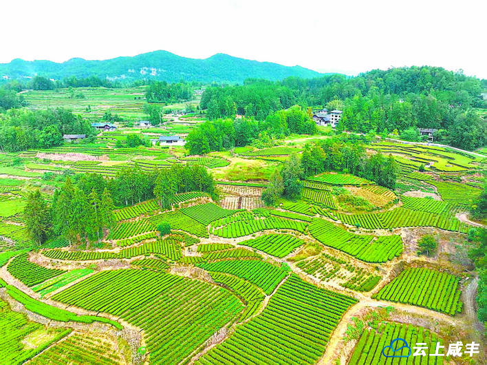 【恩施日报】图片新闻