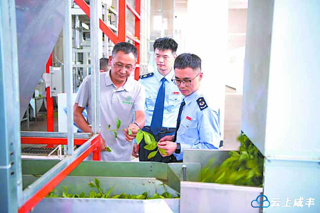 【恩施日报】税务精准“把脉” 护航农企合规发展