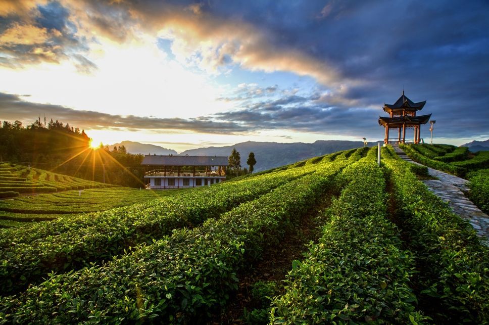 【新华社】客户端｜看恩施如何点“硒”成金