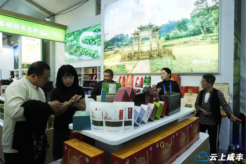 DSC03663_副本_副本.jpg DSC03663_副本_副本.jpg