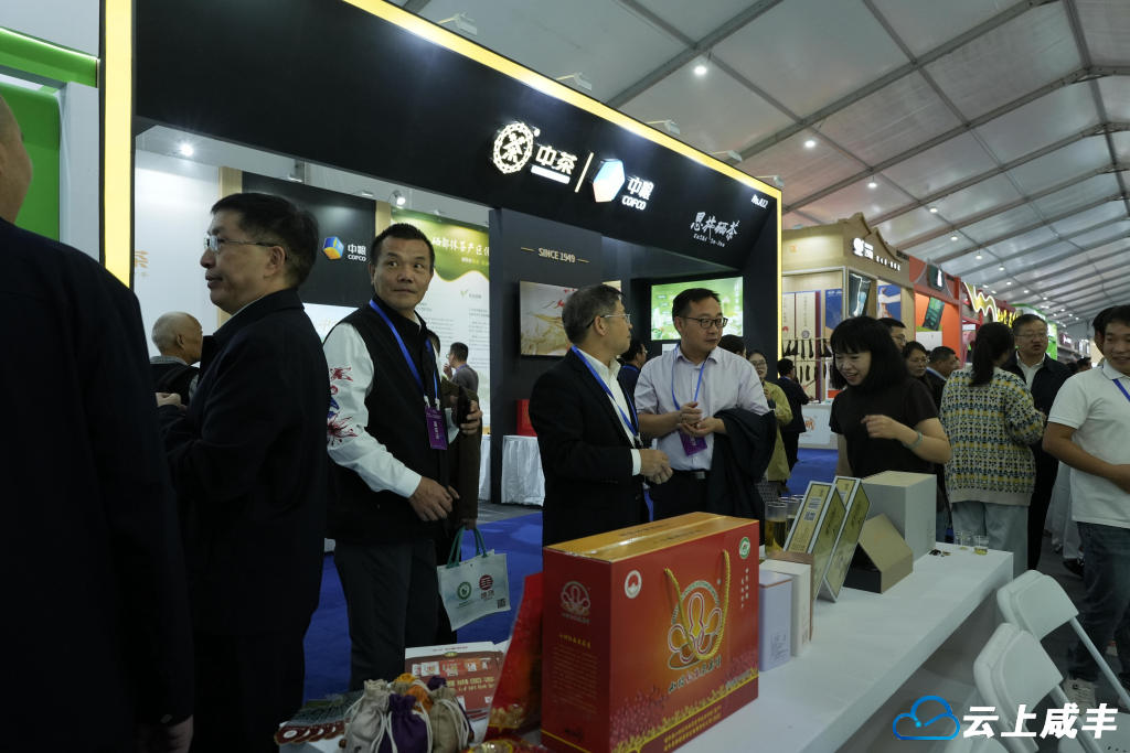 DSC03218_副本_副本.jpg DSC03218_副本_副本.jpg