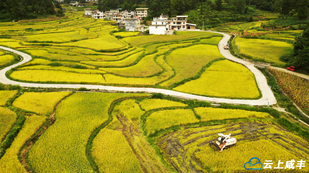 一方硒土，让咸丰农特产品身价倍增