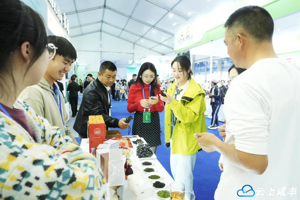 DSC03635_副本_副本.jpg DSC03635_副本_副本.jpg