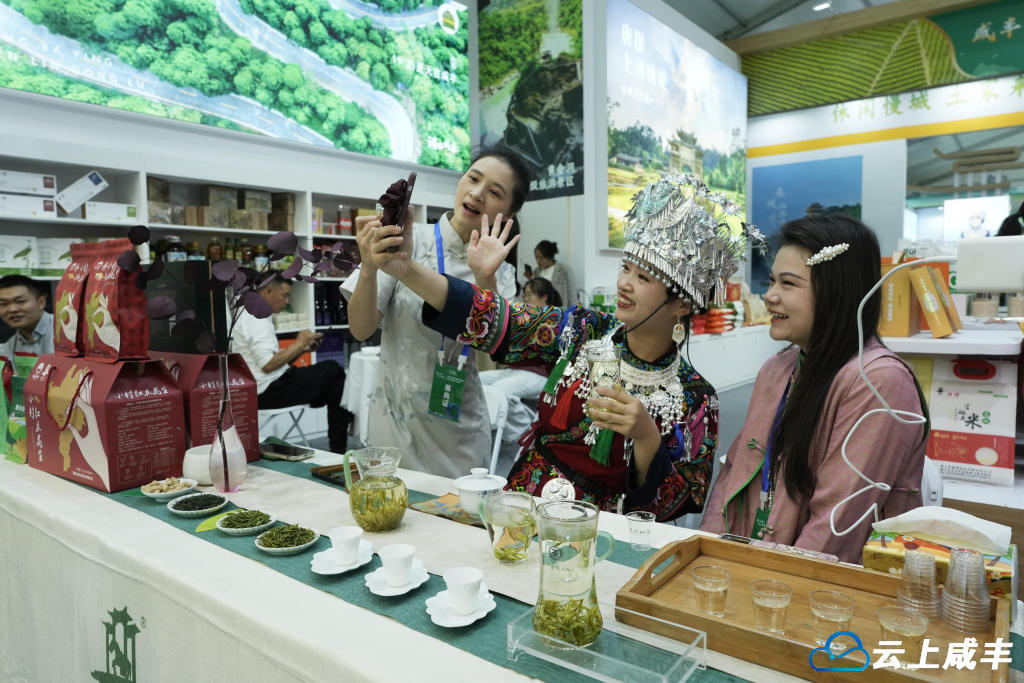 DSC03355_副本_副本.jpg DSC03355_副本_副本.jpg