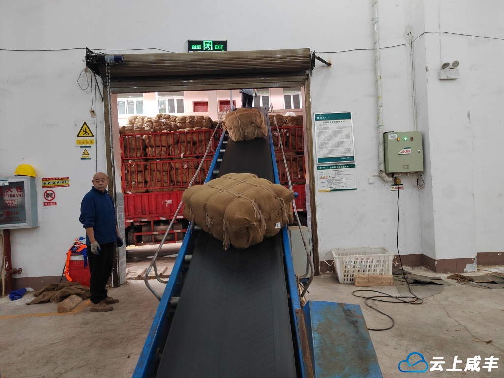 清坪镇完成1.39万担烟叶收购任务