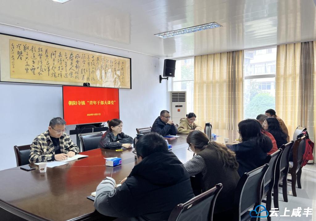 朝阳寺举办青年干部大课堂 搭建交流互鉴成长平台